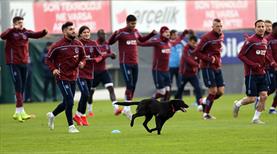 Trabzonspor maça hazır
