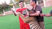 Mesut Özil'in kaplanla imtihanı